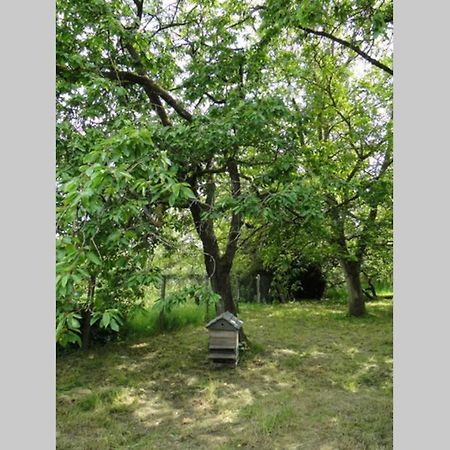 Miller'S Farm. Cottage On The Auhtie For 2 Hem-Hardinval Экстерьер фото